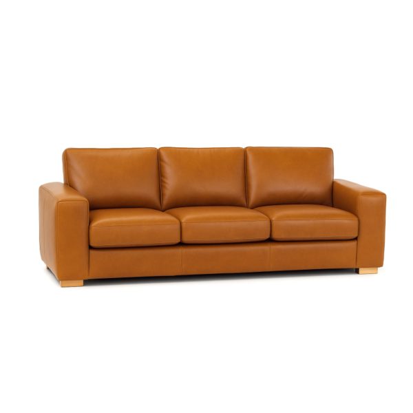 Leisure Leather Sofa